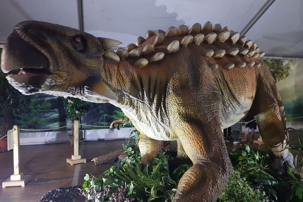 Actualizar 90 imagem exposição de dinossauros em portugal br