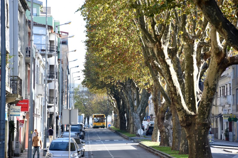 Imagem da avenida 25 de abril