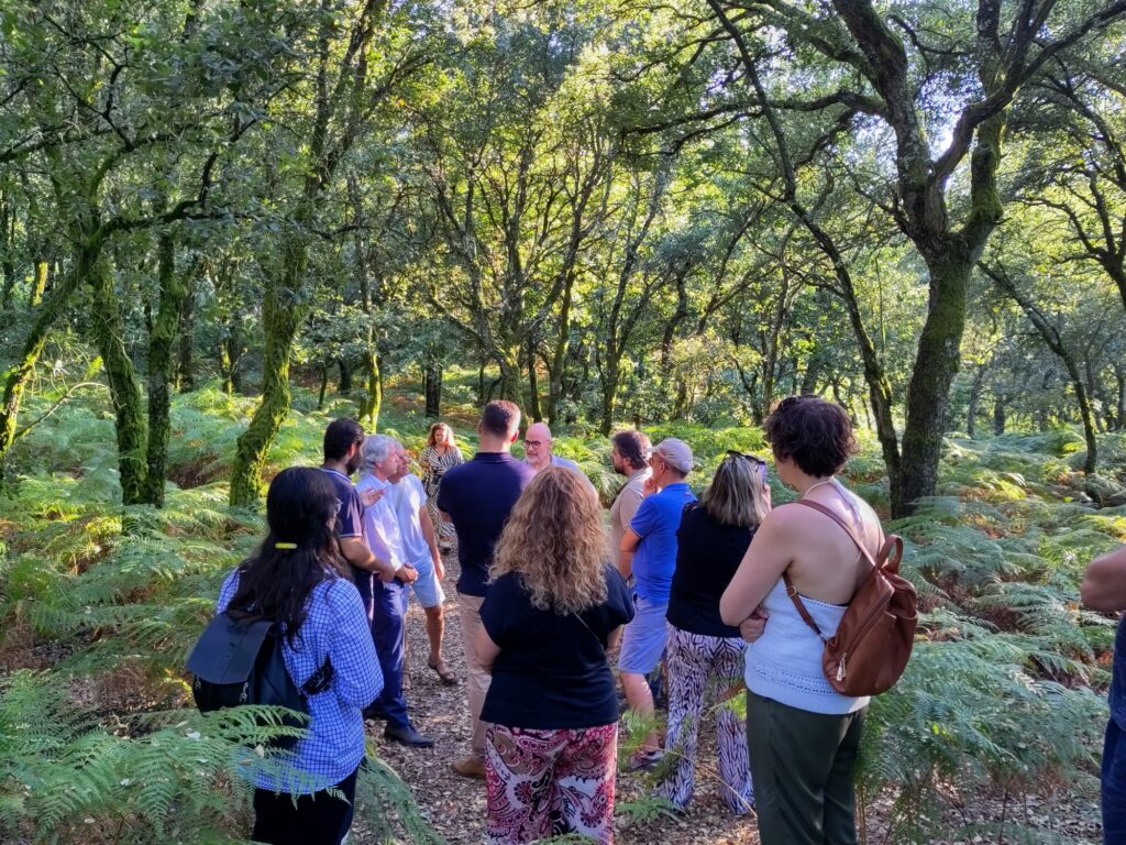 Pessoas reunidas no Monte Santa Catarina para avaliar o futuro da floresta