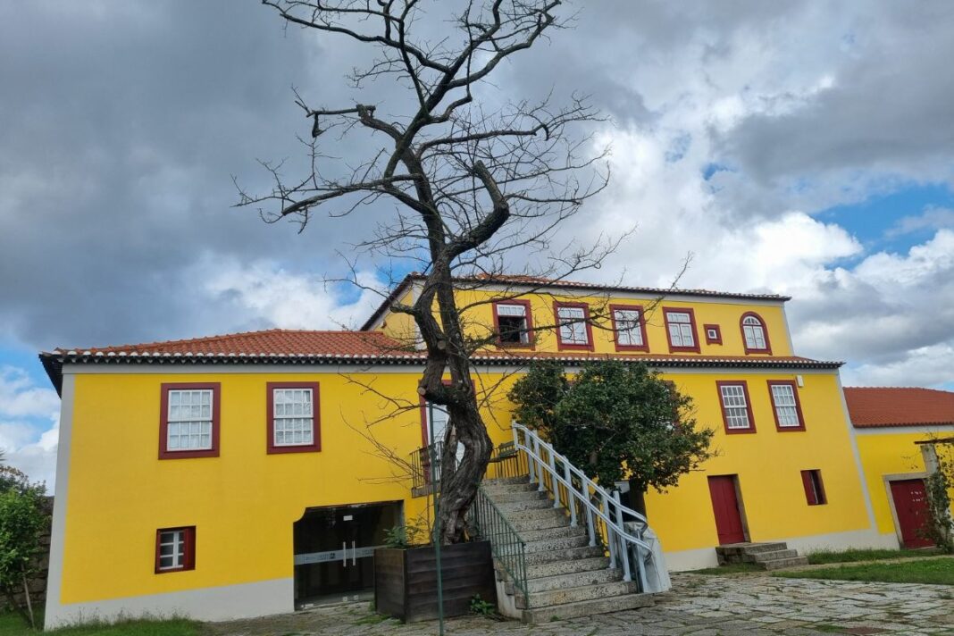 à frente vê-se a árvore conhecida como Acácia do Jorge e atrás da árvore a casa de Camilo.